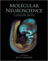 Molecular neuroscience : a laboratory manual